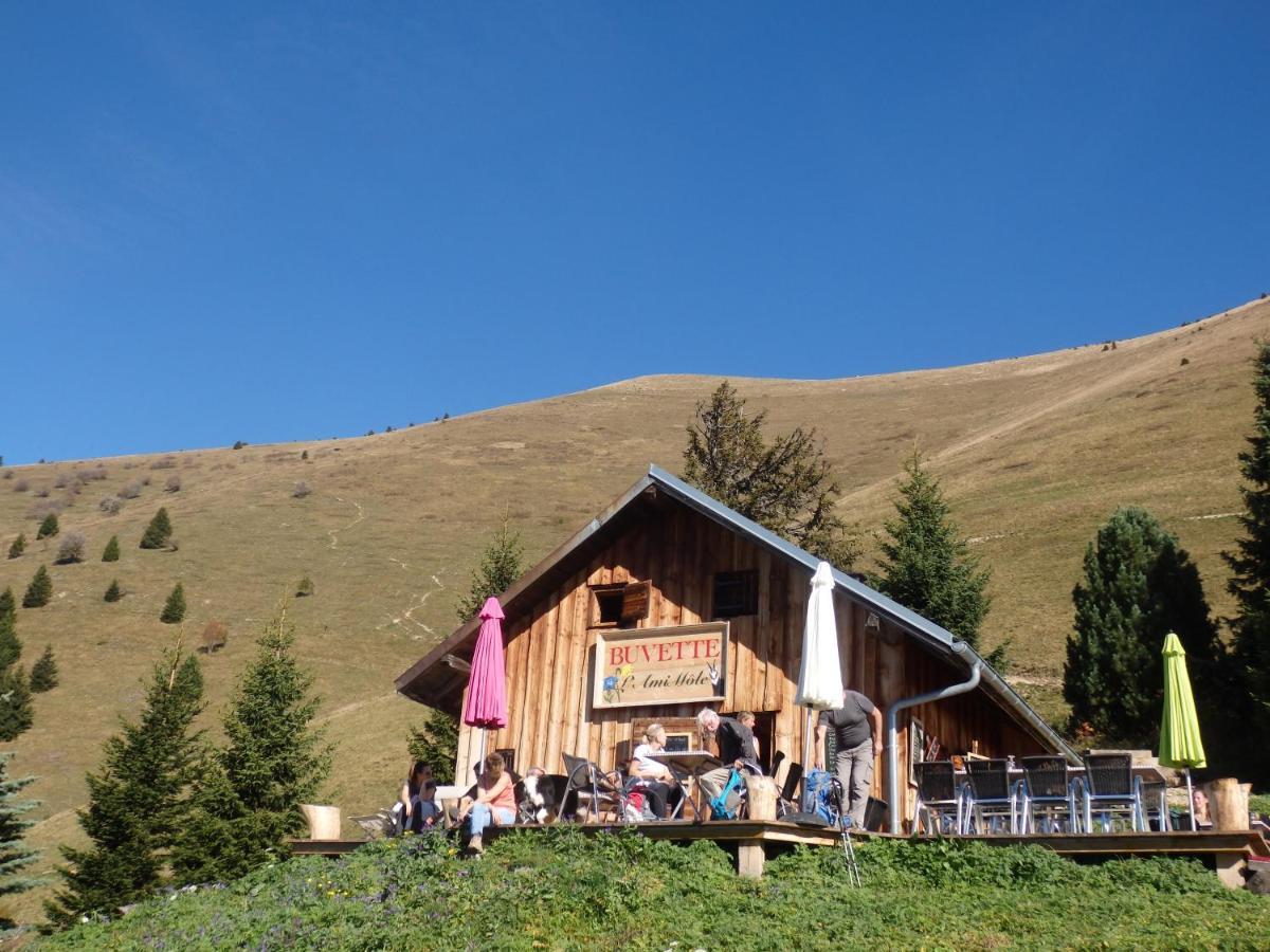 Au Coeur Des Alpes Bed & Breakfast Marignier Ngoại thất bức ảnh